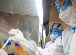 Tembus 90 Ribu Korban , WHO Prediksi Wabah Covid 19 Lebih Parah Di Luar China