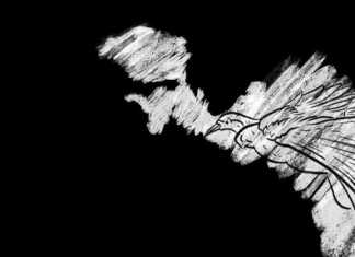 Lakukan Penutupan Wilayah, Pemprov Papua Berpotensi Langgar UU Karantina Kesehatan dan Kebijakan Pusat (foto :google.com)