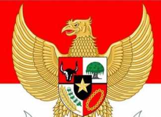 Edukasi Masyarakat, Gugus Tugas COVID 19 Luncurkan Chatbot Whatsapp Khusus COVID 19 (covid19.go.id)