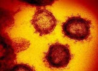 Peneliti China Ungkap Beda Covid 19 dan SARS (CGTN.COM)