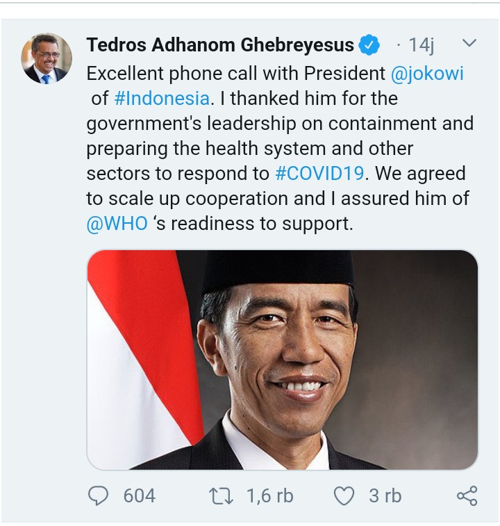 Pandemi COVID 19, WHO Apresiasi Keberhasilan Presiden Jokowi Atasi COVID 19 di Indonesia