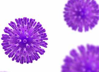 Muncul Dua Tipe COVID 19, Peneliti China Ungkap Kemungkinan COVID 19 Alami Mutasi (CGTN.COM)