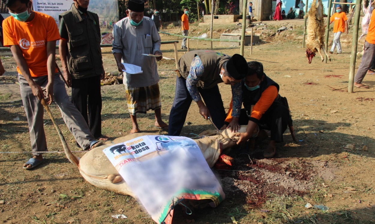 Yayasan Mandiri Amanah Gelar Pemotongan Hewan Kurban