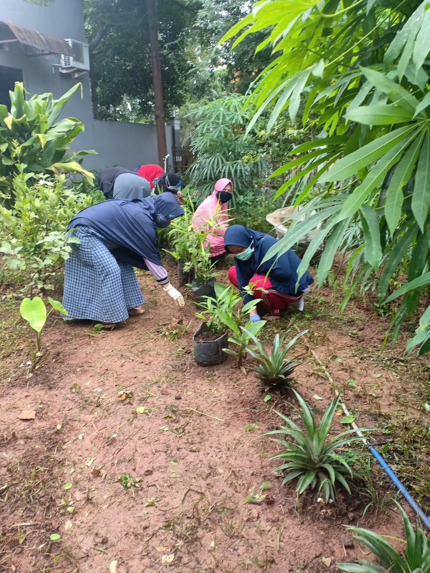Ibu-ibu Penggerak Ketahanan Pangan Keluarga RW 026 Kelurahan Pejuang Kecamatan Medan Satria Kota