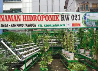 RW 021 BSK