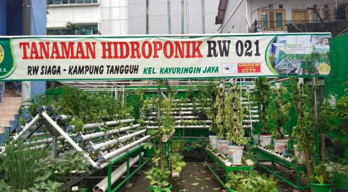 Lomba Kampung Siaga, RW 021 BSK Kayuringin Terima Kehadiran Tim Juri 3 Pilar Kota Bekasi RW 021 BSK